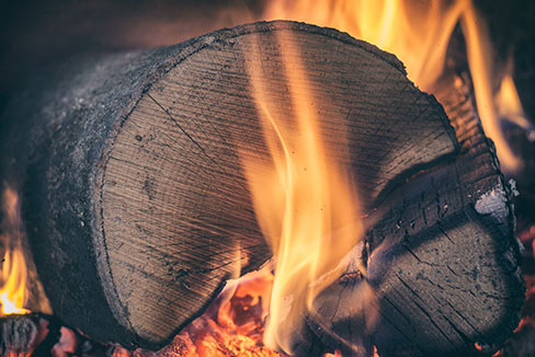 Netted Softwood Logs