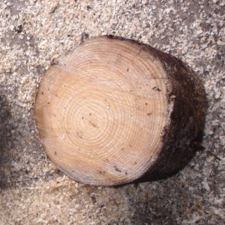 whole soft firewood logs